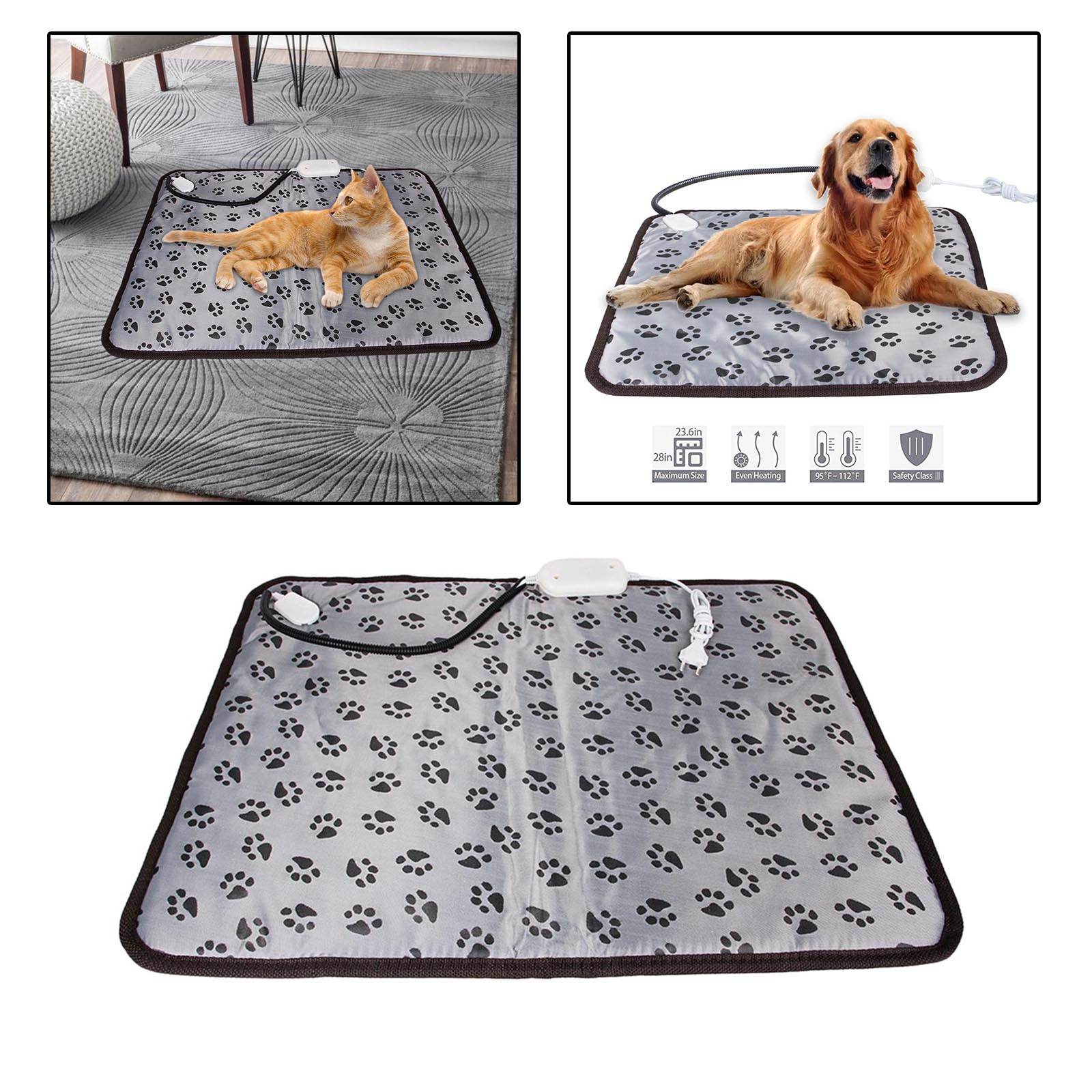 Are Electric Heated Dog Beds Safe