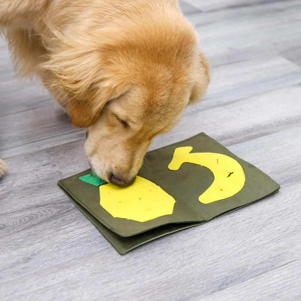 Un perro de pelaje dorado olfateando un trozo de tela con un diseño en forma de plátano amarillo. El perro parece sentir curiosidad por la tela, posiblemente atraído por el olor o la novedad del objeto. El fondo es un suelo de madera, lo que sugiere un ambiente interior.