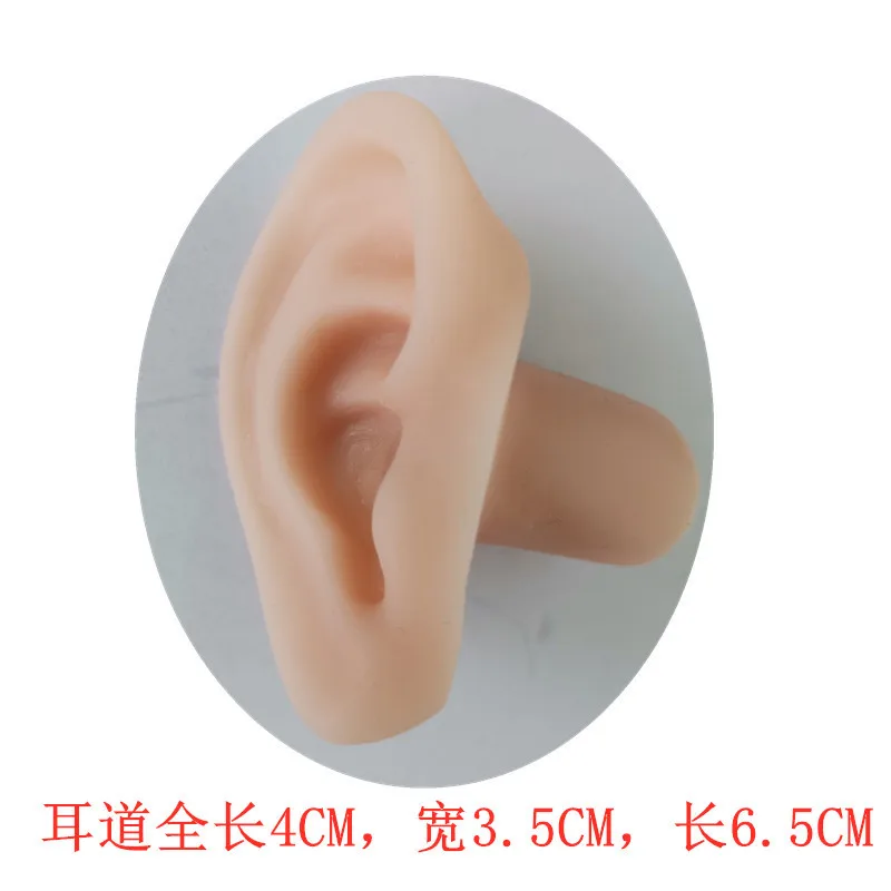 orelha, orifícios de silicone, canais de orelha