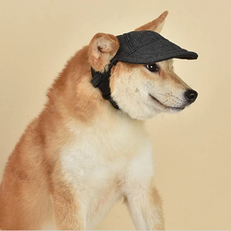 Un perro que lleva un pequeño sombrero de color oscuro. El perro parece ser un Shiba Inu, una raza conocida por sus rasgos faciales expresivos y sus orejas alerta y erguidas.