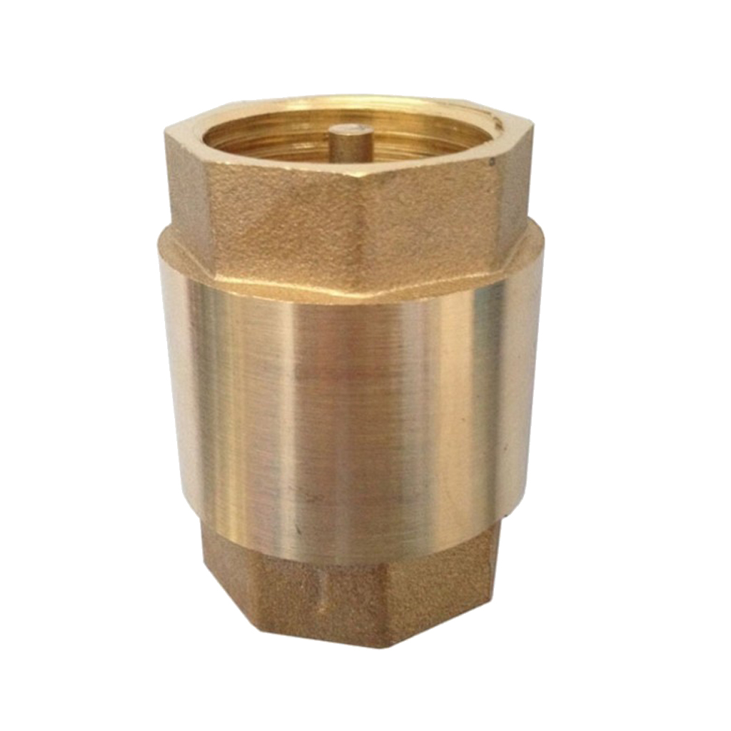 Non Return One Way Check Valve for Water Petrol  Oils ect. 2 Inch