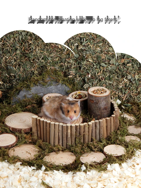 Natural Moss Hamster Tunnel Dwarf Rat Chipmunk Tunnel Small Animal Cage  Landscaping Supplies Hamsters Toy Rat Accessories - AliExpress
