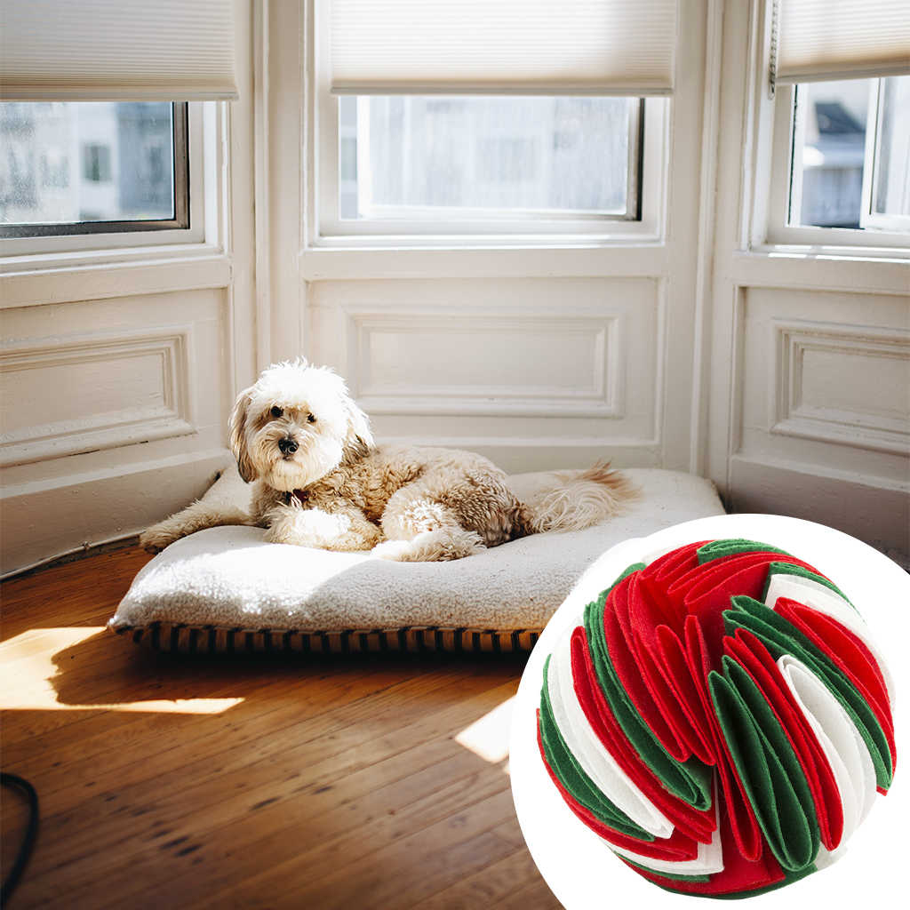 Snuffle ball Dog Puzzle Toys Increase IQ Slow Dispensing Feeder Pet Cat Training Games Feeding Feeding Food Intelligence Toy