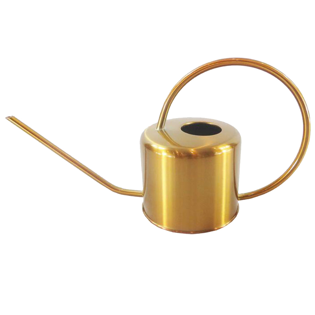 900ml Retro Style Watering Can for Plants Flowers Indoor Outdoor Home Garden Yard Watering Tools, Stainless Steel