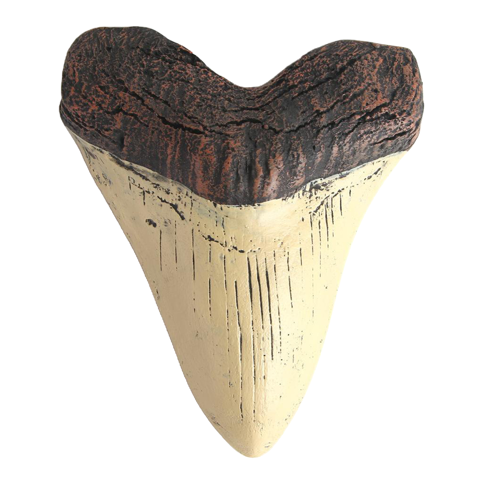 Giant Shark Teeth SKULL Figurine Model Halloween Home Decor Collectibles