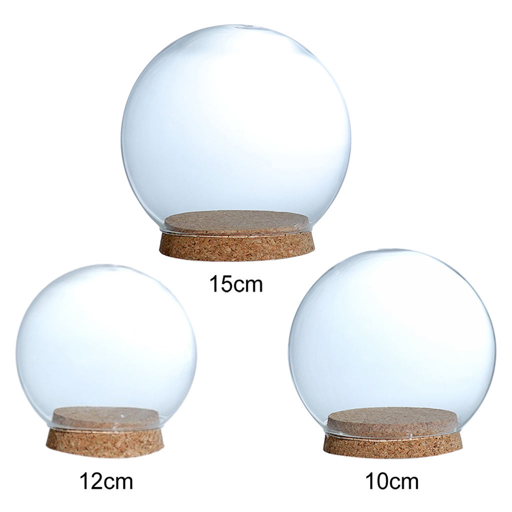 Glass Dome Display Wood Cork Bell Jar Cover Cloche Display With Wooden Base Table Decoation Craft