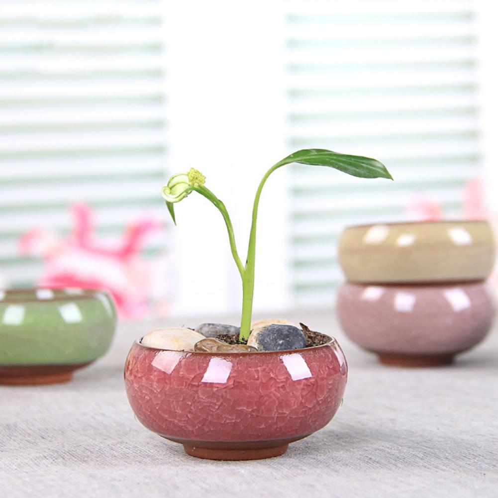 Cute Ice-Crack Glaze Flower Ceramic Succulent Flower Plant Mini Pot Succulent Planter Flowerpot Home Office Desktop Decoration