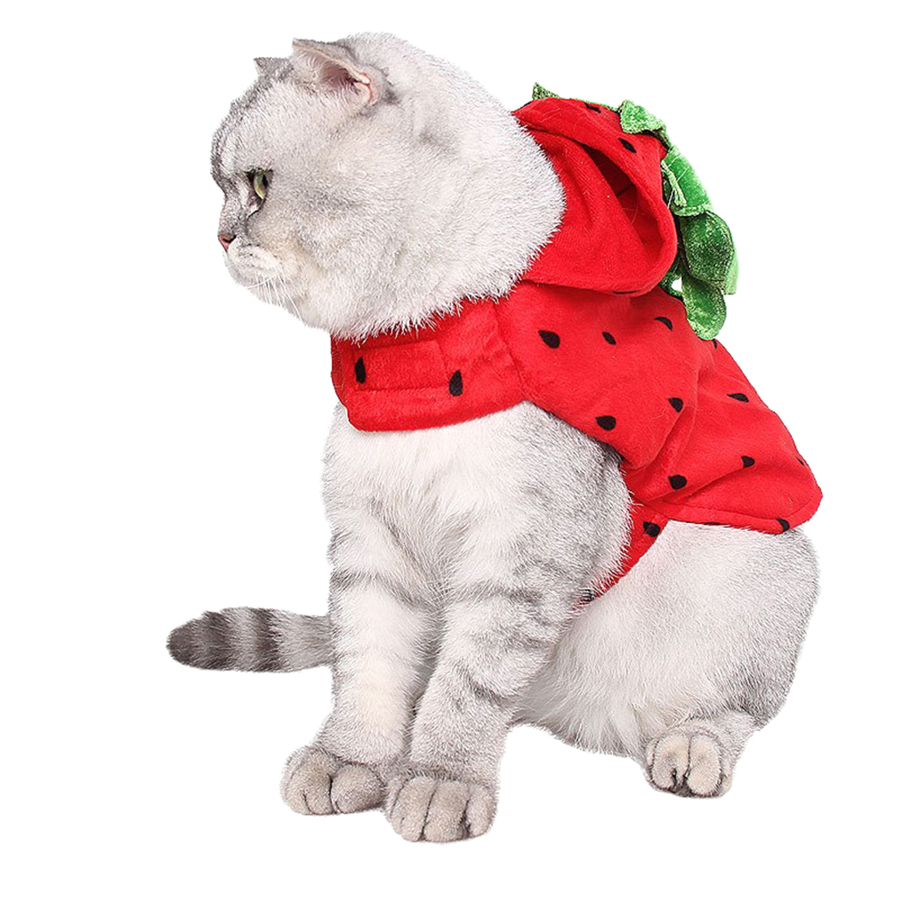 Cute Cat Costume Strawberry Hooded Clothes Halloween Daily Wear Pet Apparel