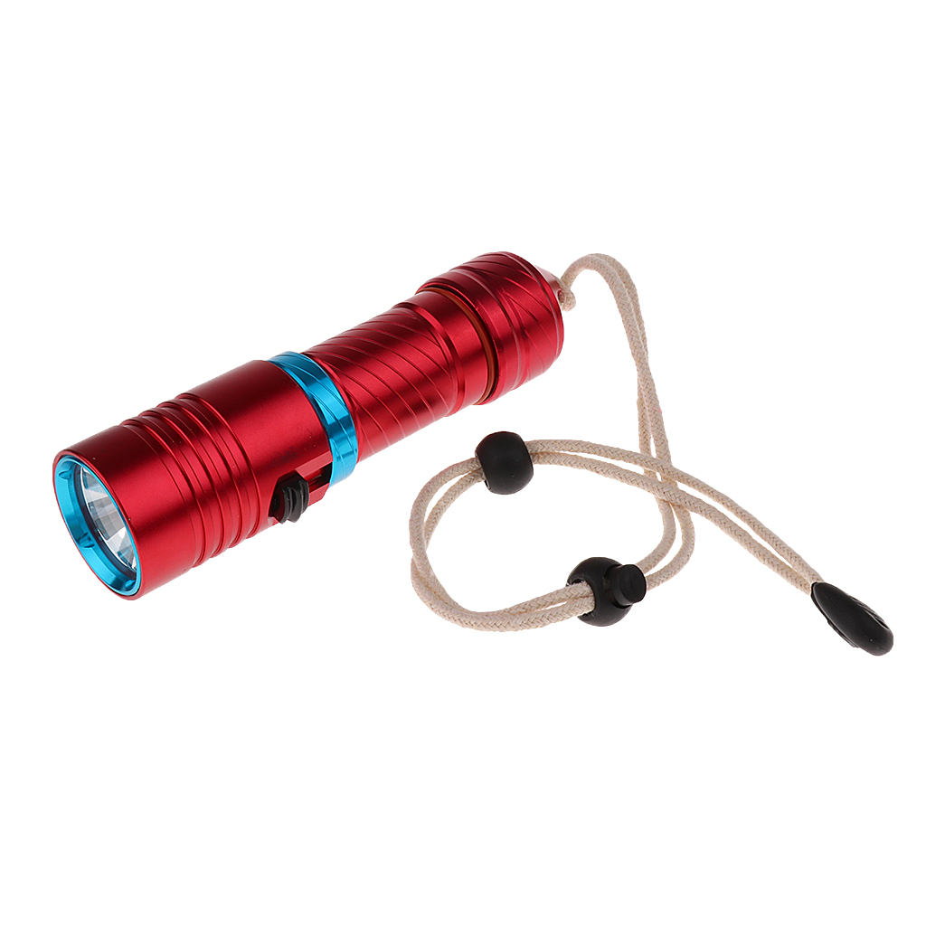 Underwater 100m  Waterproof Diving LED Flashlight 1000LM Lamp