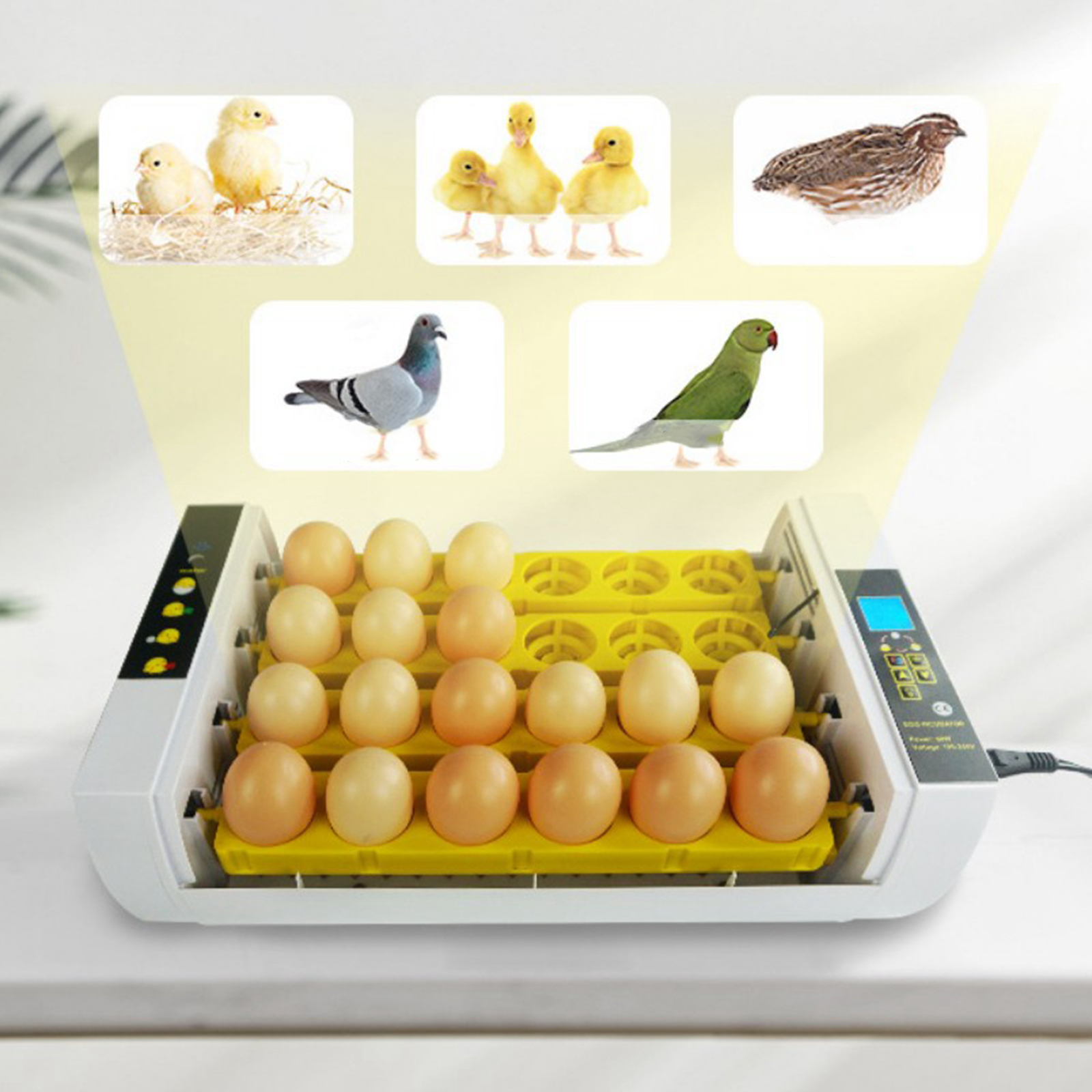 Auto Egg Incubator 24-Egg Automatic Goose Eggs Hatcher Hatching Machine