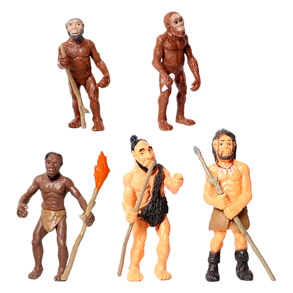 Educational Toys Primitive Human Model Science Educational Home Office Decor
