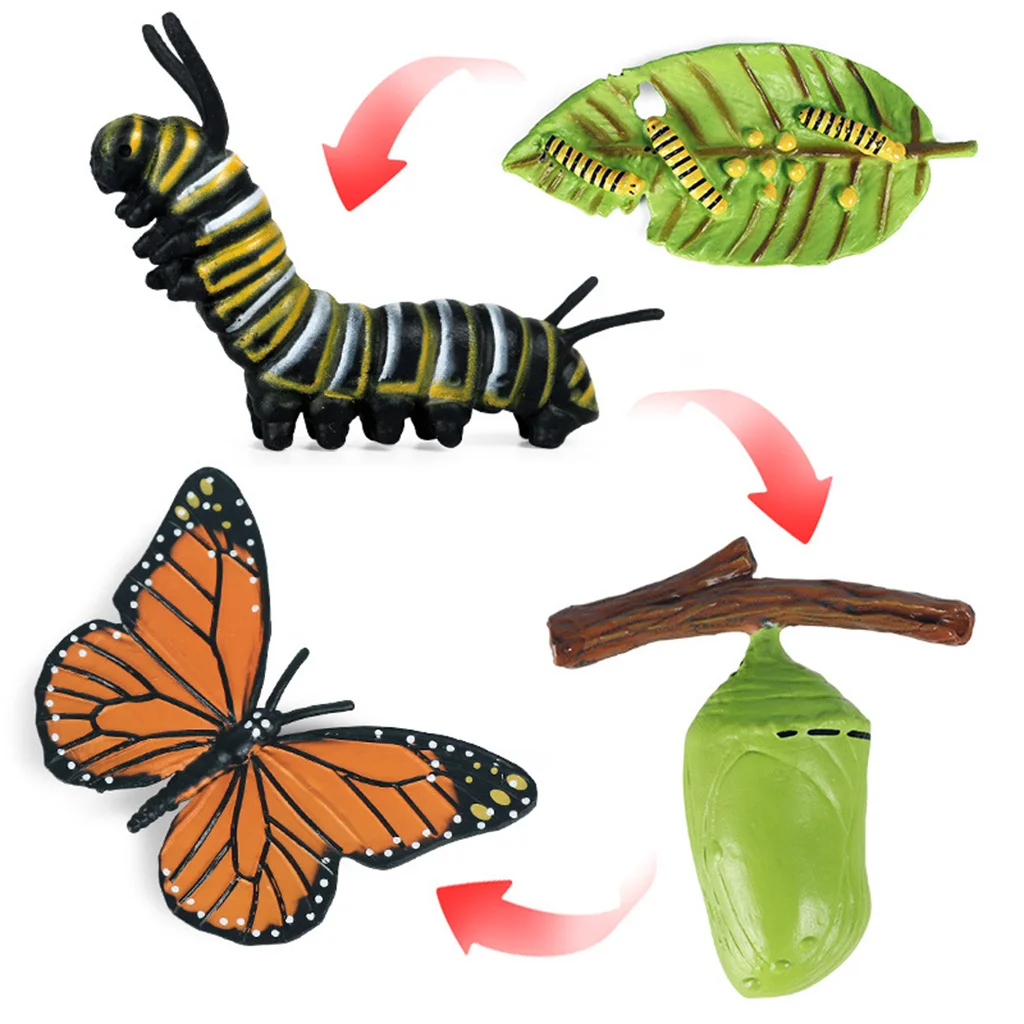 Nature Butterfly Life Cycle Stages Insect Growth Figures Playset Pre-school