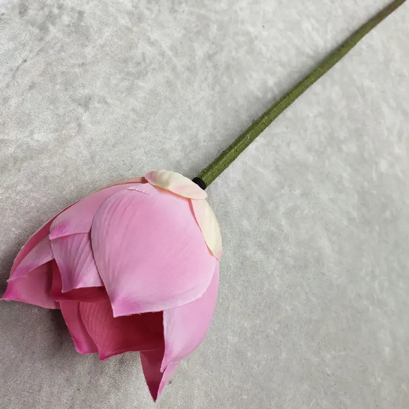 Un único capullo de rosa rosa con un tallo verde. La rosa parece estar en proceso de abrirse, ya que algunos de los pétalos todavía están bien enrollados alrededor del centro.