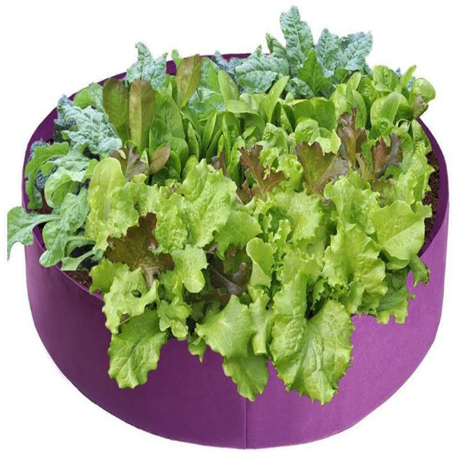 Plant Grow Bags Breathable Gardening Pots Planters Growing Bucket for Strawberry Potato Vegetable Holds Soil Garden Supplies