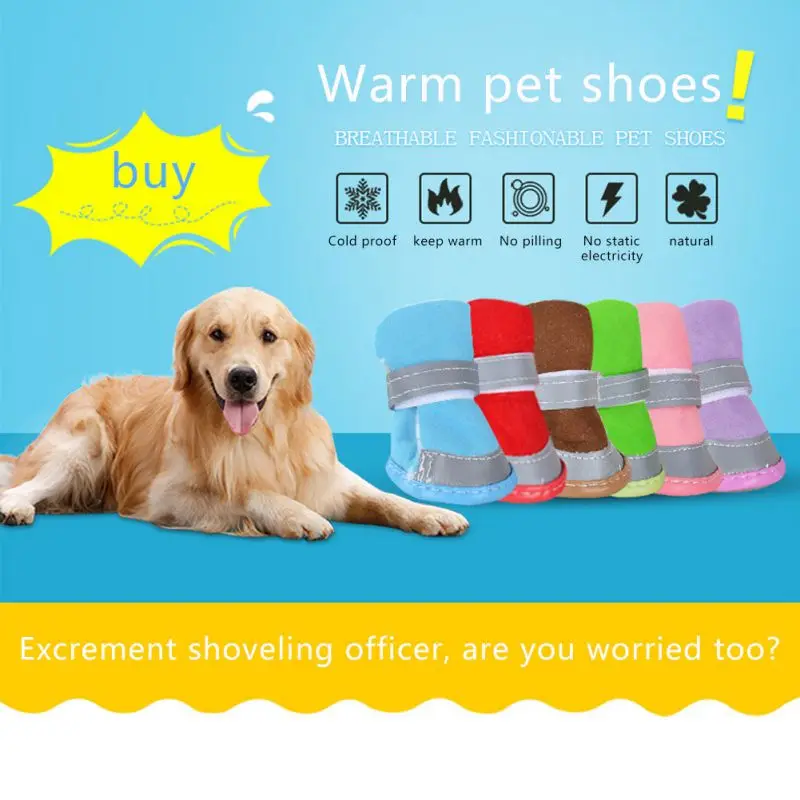 Un anuncio promocional de Warm Pet Shoes. Presenta un perro golden retriever acostado en el lado izquierdo de la imagen, luciendo relajado y contento.