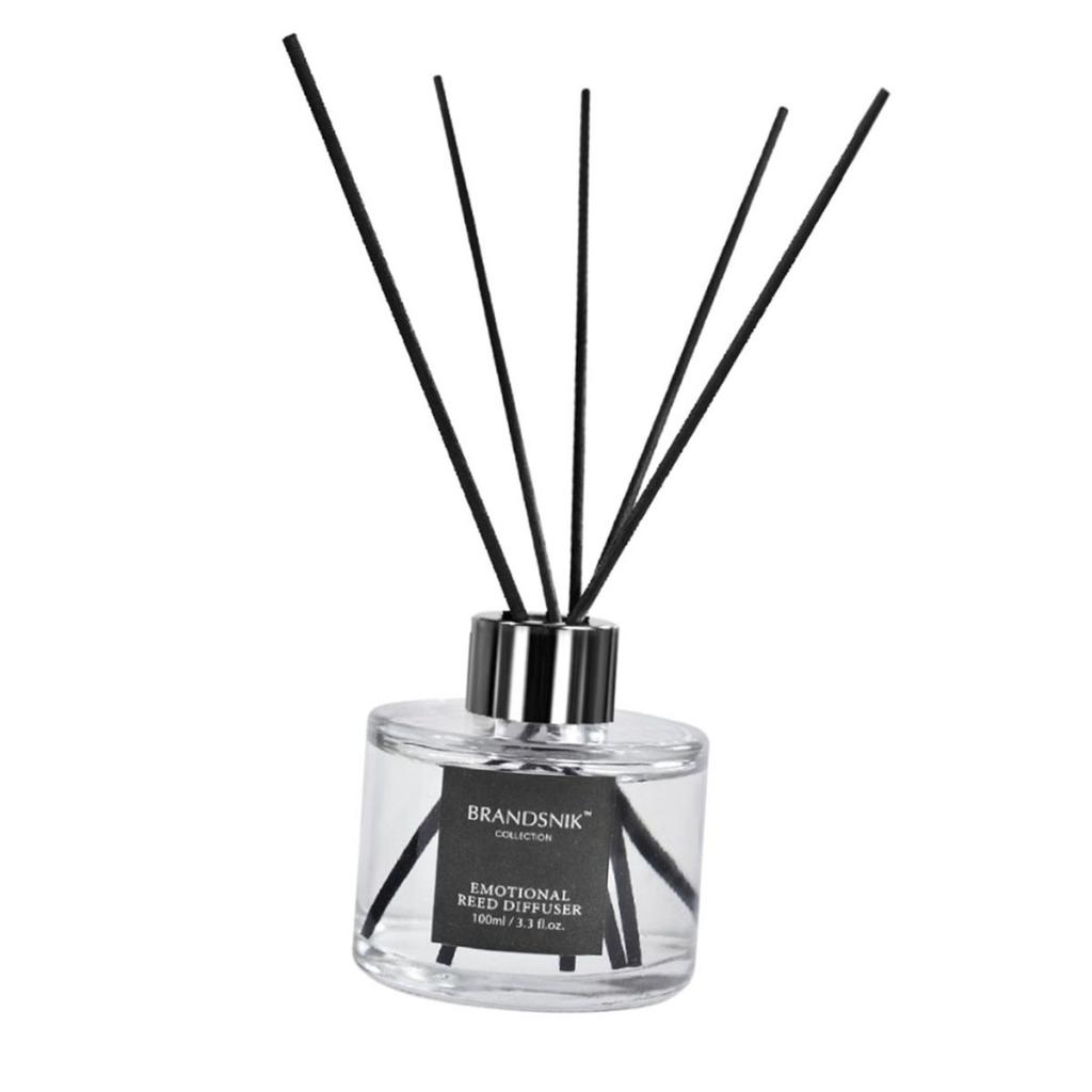 Ocean Scented Fragrant Home Air Freshener Fragrance Reed Diffuser Aroma Gift