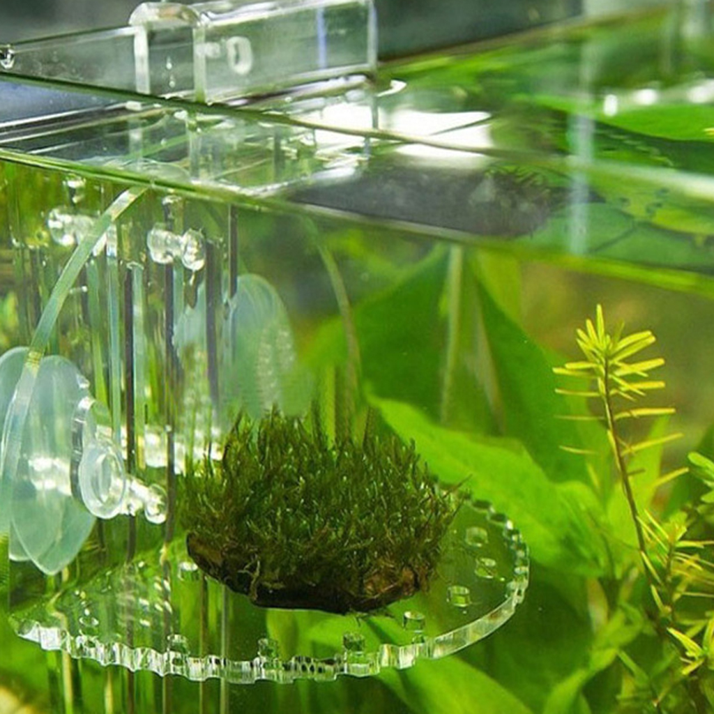 1pcs Aquarium Shelf For Substrate Live Plants Transparent Ledge For All Fish