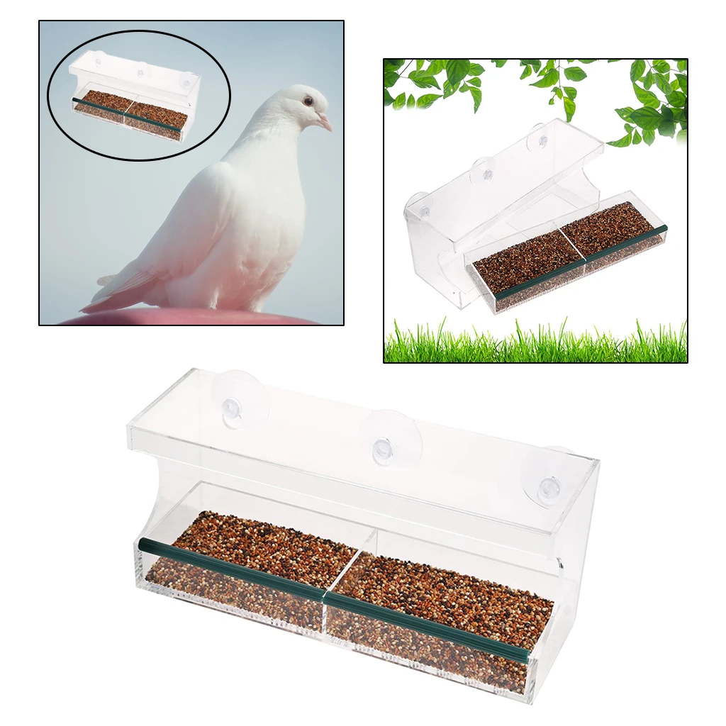 Window Bird Feeder Acrylic Wild Hanging Suction Perspex Clear Viewing Seed