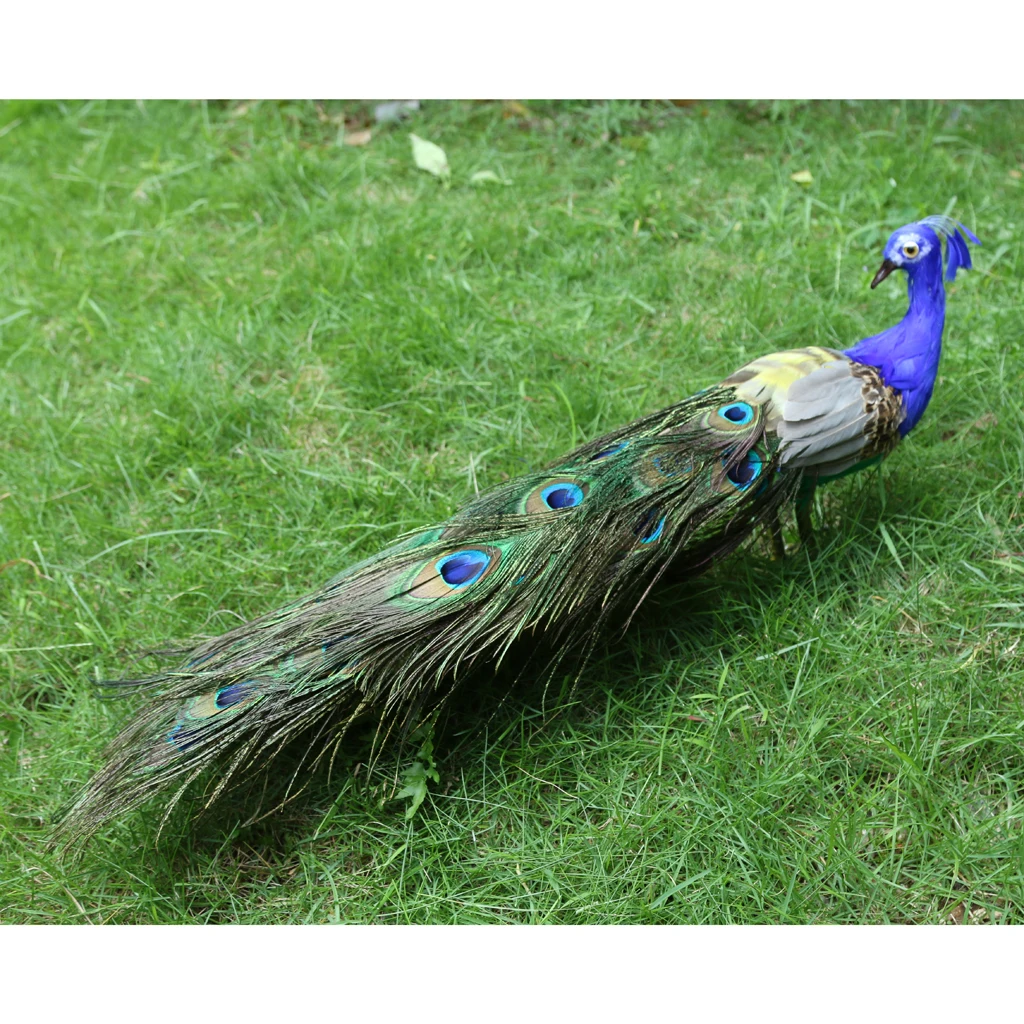 Vivid Artificial Peacock Bird Realistic Taxidermy Home Garden Decoration,