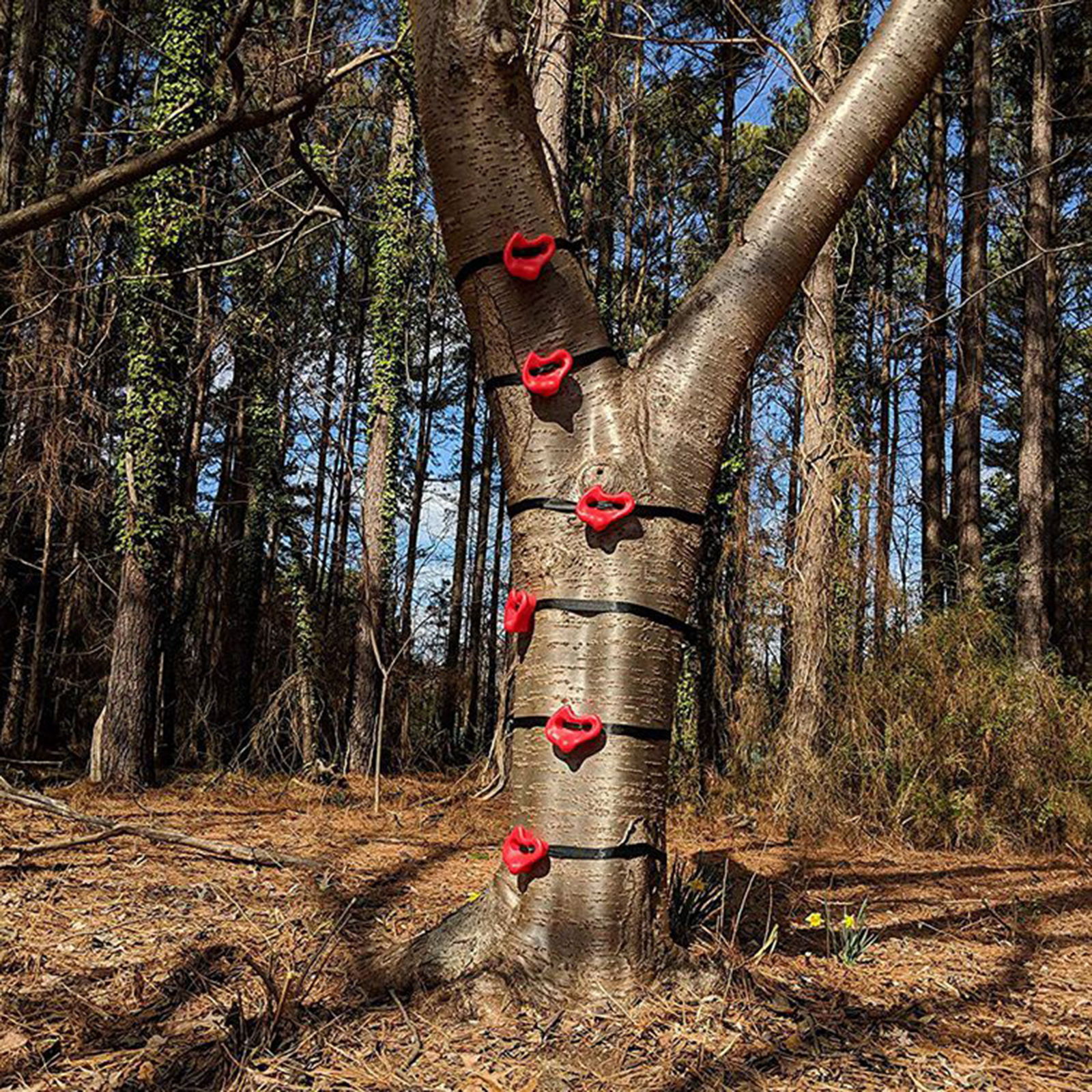Premium Tree Climbing Holds Steps Climbers Training Equipment Rock Climb Trainer for Home Yard
