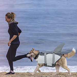 dog life jacket