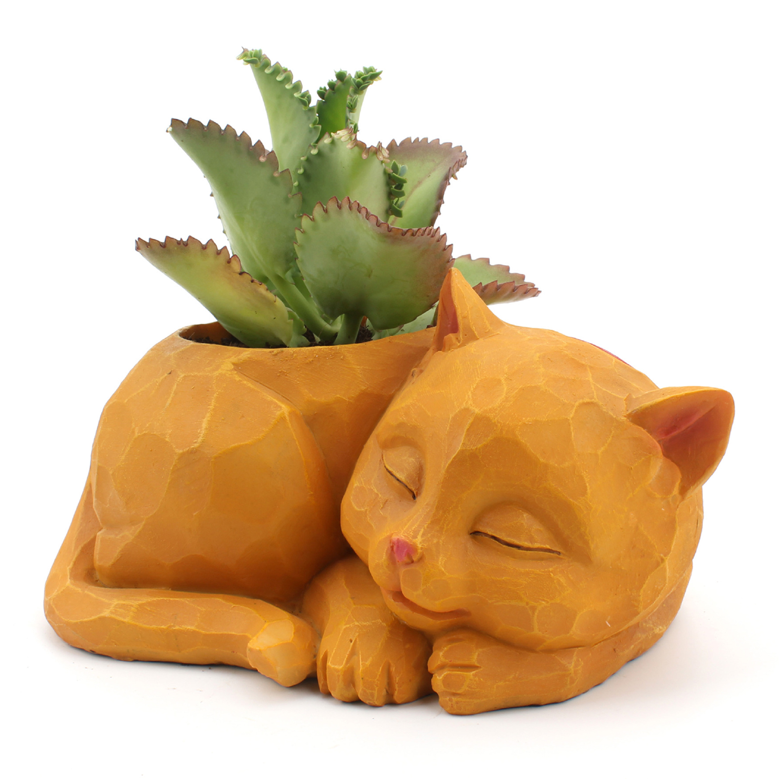 Lovely Sleeping Cat Succulent Cactus Flowerpot Resin Herb Planter Container for Home Office Decoration