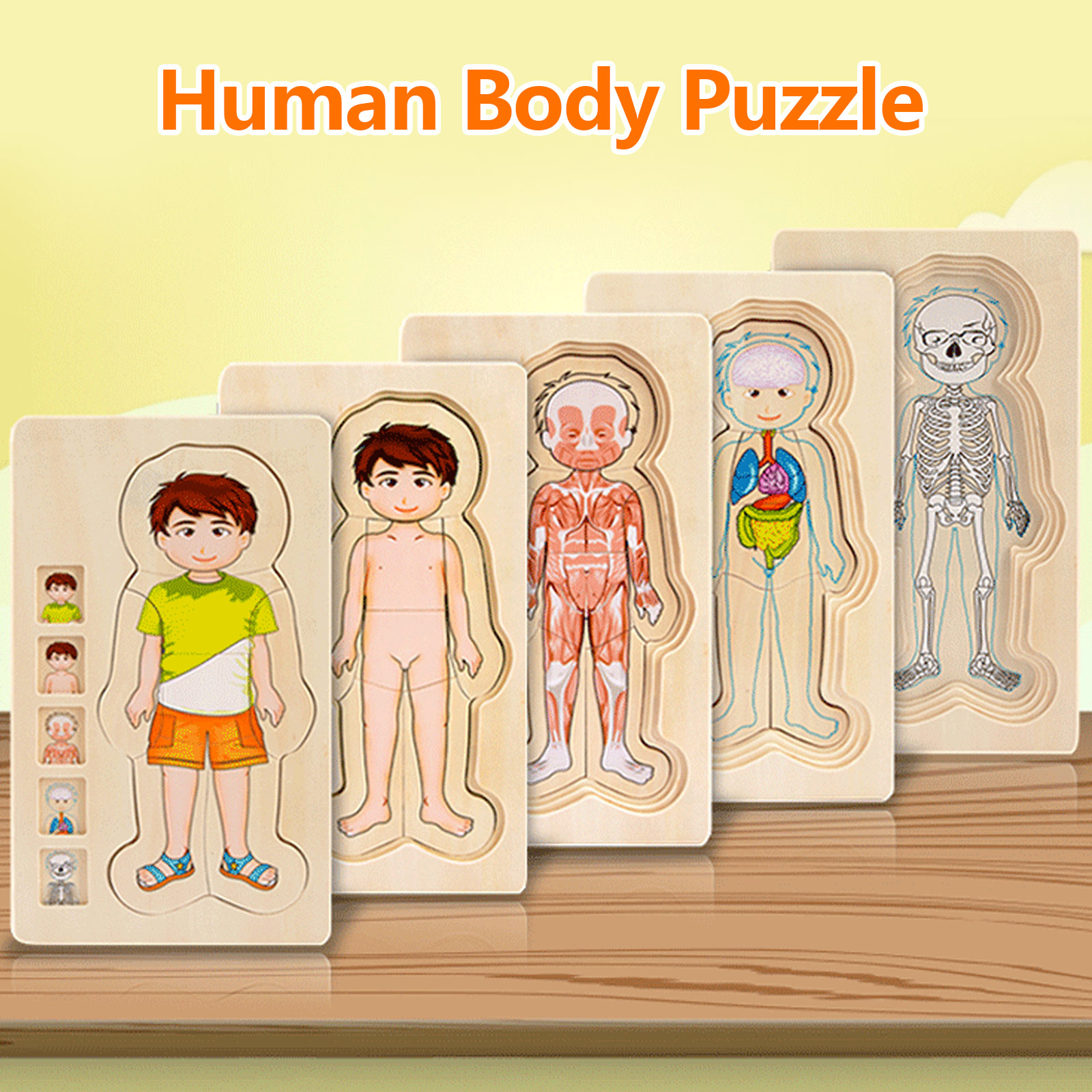 Quebra-cabeças de Corpo Humano de Madeira Partes do Corpo Músculos do Gênero Corpo da Memória Educacional para Crianças Presente de Natal e Aniversário Brinquedo 4 High Quality Brinquedos e hobbies