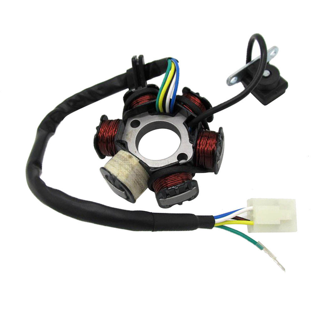 Stator Magneto 6 Coil For 50cc 110cc 125cc Scooter Moped TaoTao Sunl ATV Quad Pit Dirt Bike