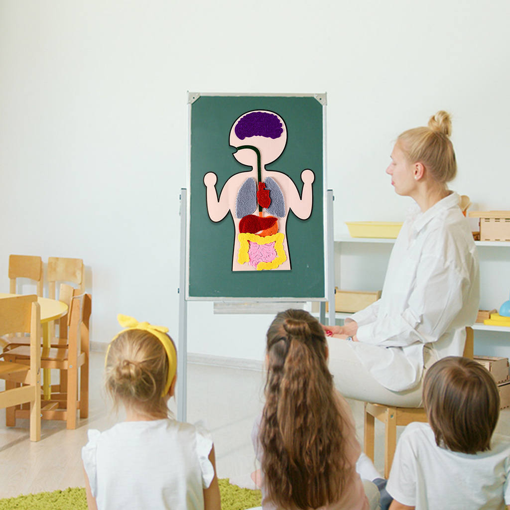 DIY Human Organ Cognition Enlightenment Teaching Aid Preschool Science Early Learning for Christmas Present Gifts Baby Toddlers