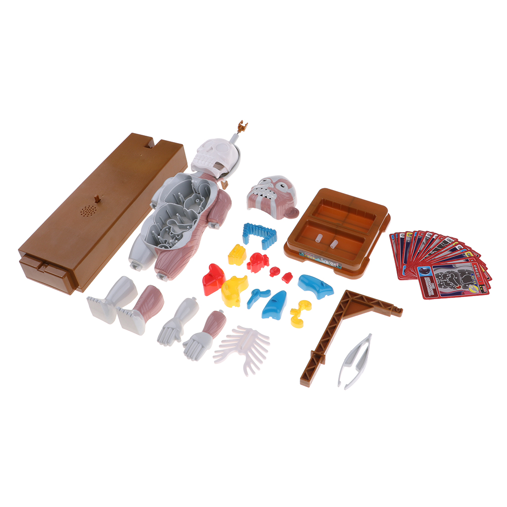 Kids Human Body Model Toy With Removable Organs, Family Fun Games for Halloween Party