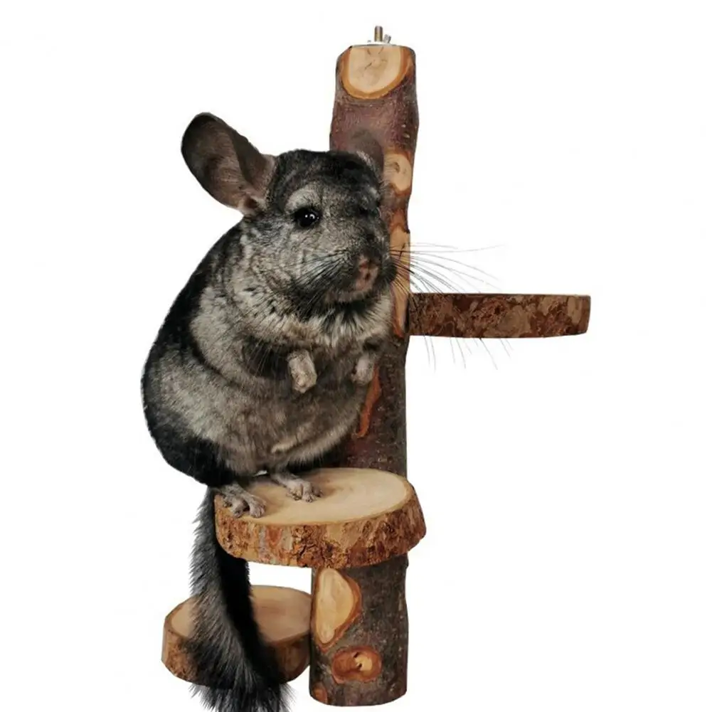 Aliviar o tédio criativo hamster chinchila playground brinquedo para cockatiel
