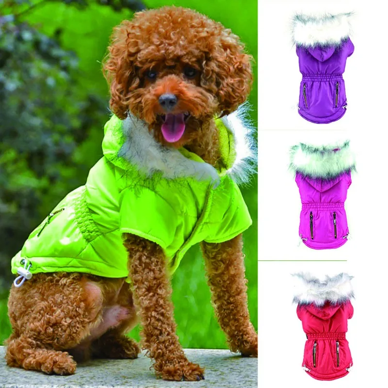 Un perro que lleva una chaqueta verde brillante con capucha forrada de piel. La chaqueta parece estar diseñada para mantener al perro abrigado, posiblemente durante el clima más frío. El perro tiene un pelaje rizado y está sentado sobre una superficie con un fondo verde, que podría ser un parque o un jardín.