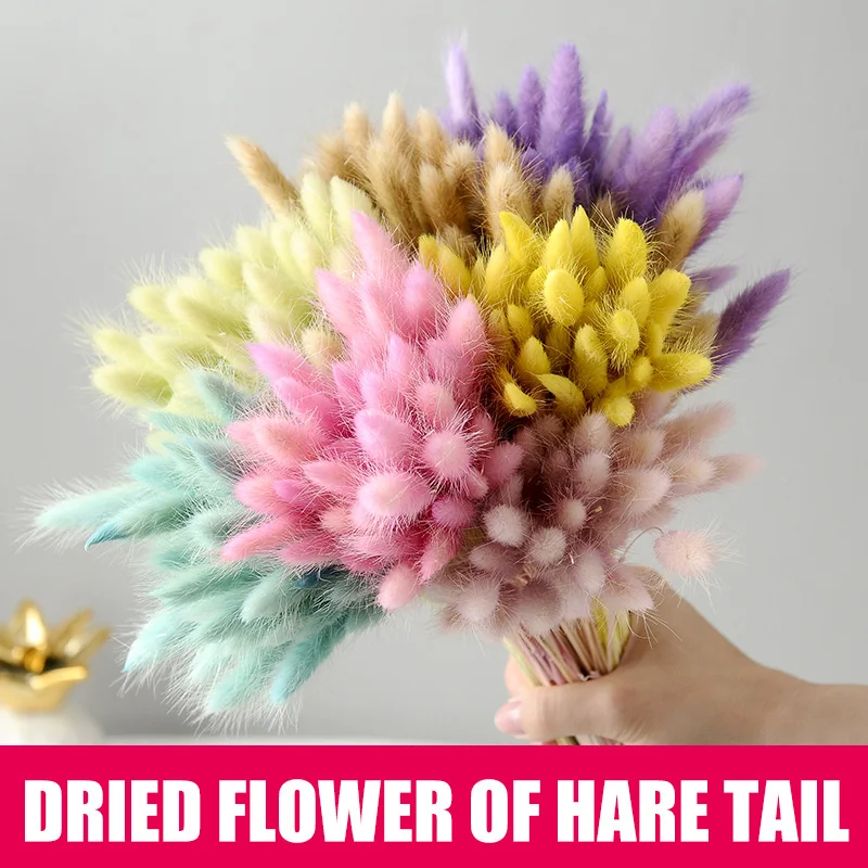 50 Pcs Dried Flower Grass Decoration Photography Props for Home Store Wedding Home Accessories