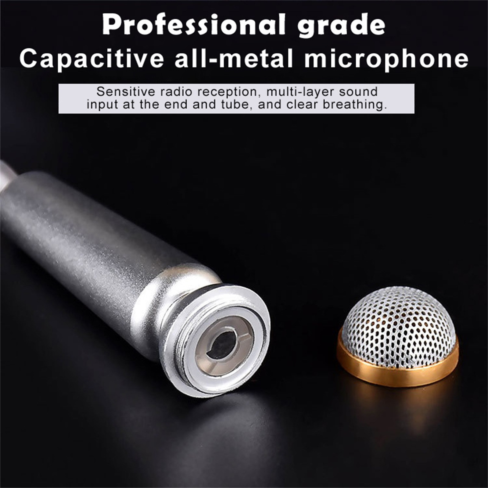 Title 13, Handheld Mini Microphone Portable 3.5mm Condens...