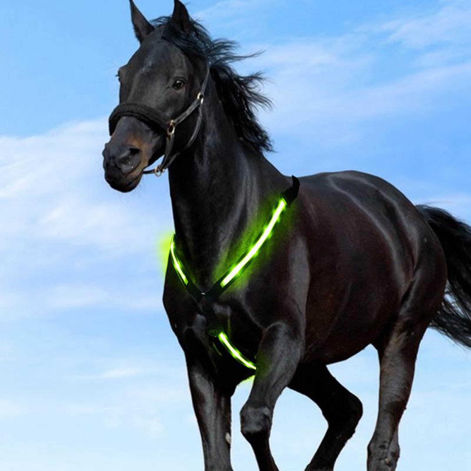 LED Horse Breastplate Collar Bridle Halter Neon Lights High Visibility Tack for Night Horse Riding Safety Equestrian Training