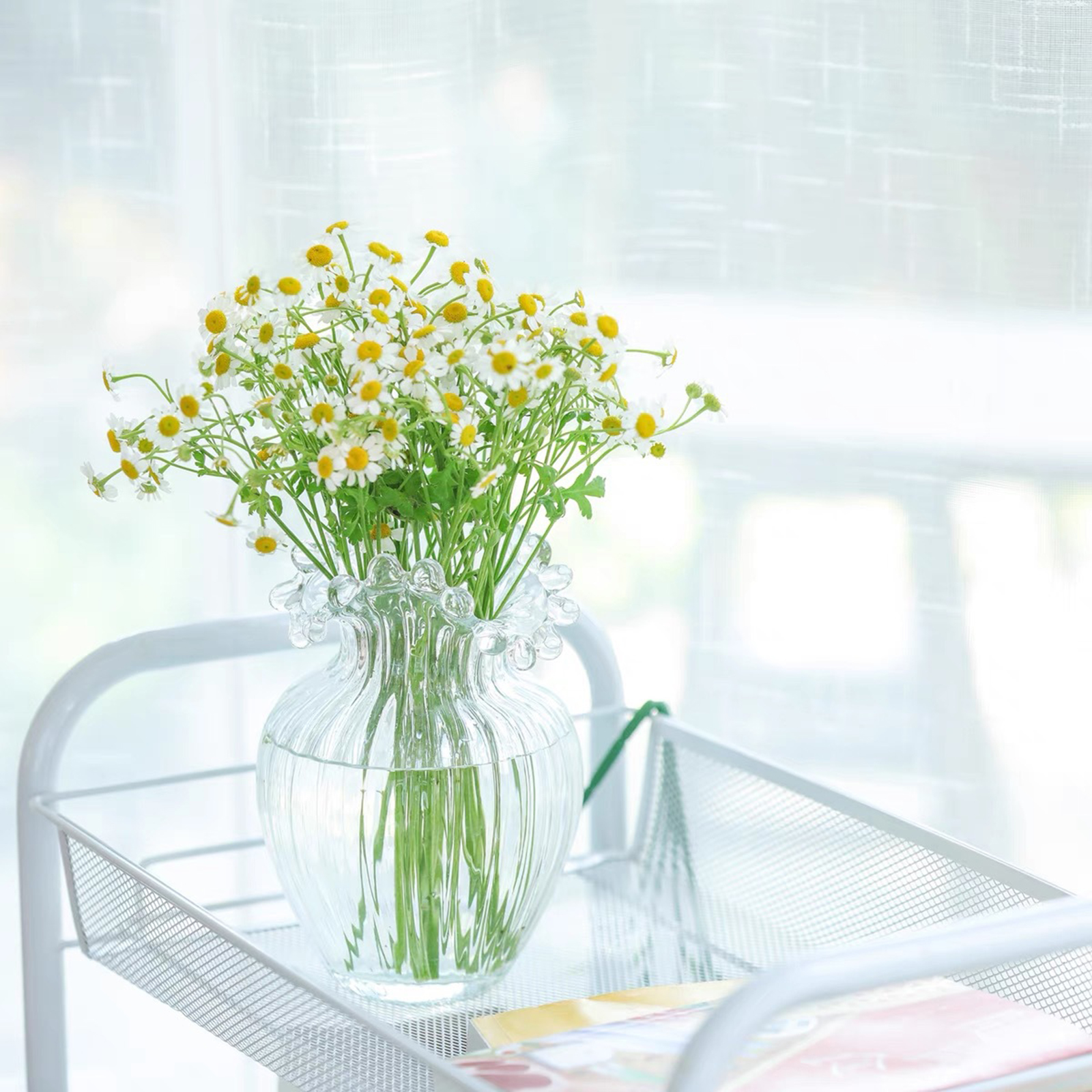 Large Glass Mouth Bottle Flower Vase Hydroponic Plants Planter Terrarium