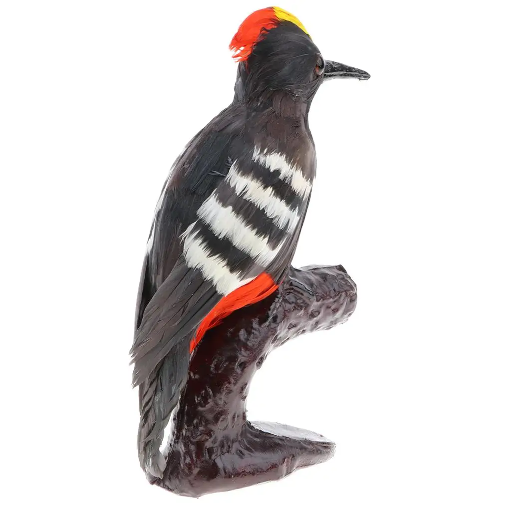 Lifelike Artificial Feathered Woodpecker Animal Model Science Nature Toy A