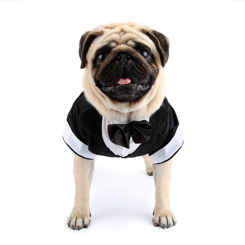 Pet Suit Apparel Tuxedo Party Clothes Costume Wedding Bow Tie Grey/Black