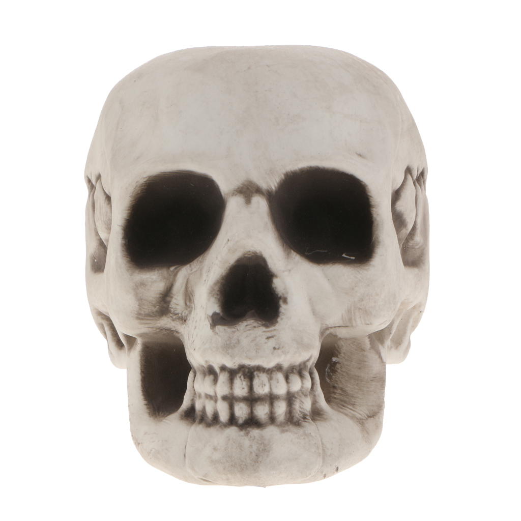 Plastic Skull Head Figurine Skeleton Model Statue Halloween Decoration Indoor Outdoor Home Table Desk Ornament Shop Display