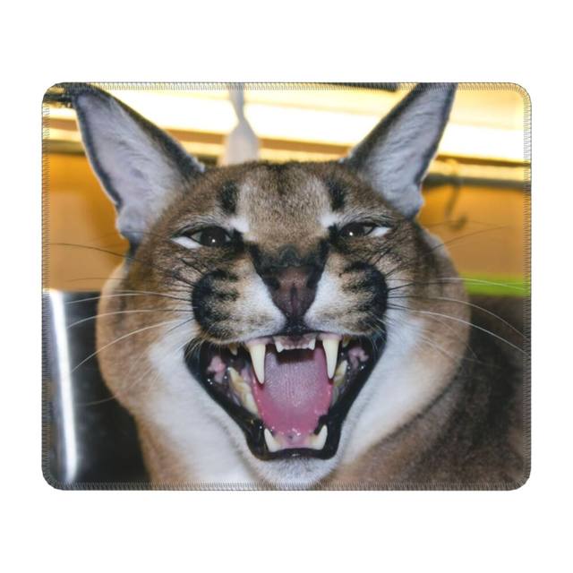 Cat Mouse Meme, Rubber Desktop Mat, Floppa Mouse Pad