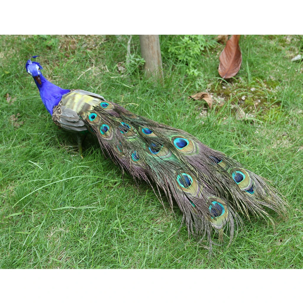 Vivid Artificial Peacock Bird Realistic Taxidermy Home Garden Decoration,