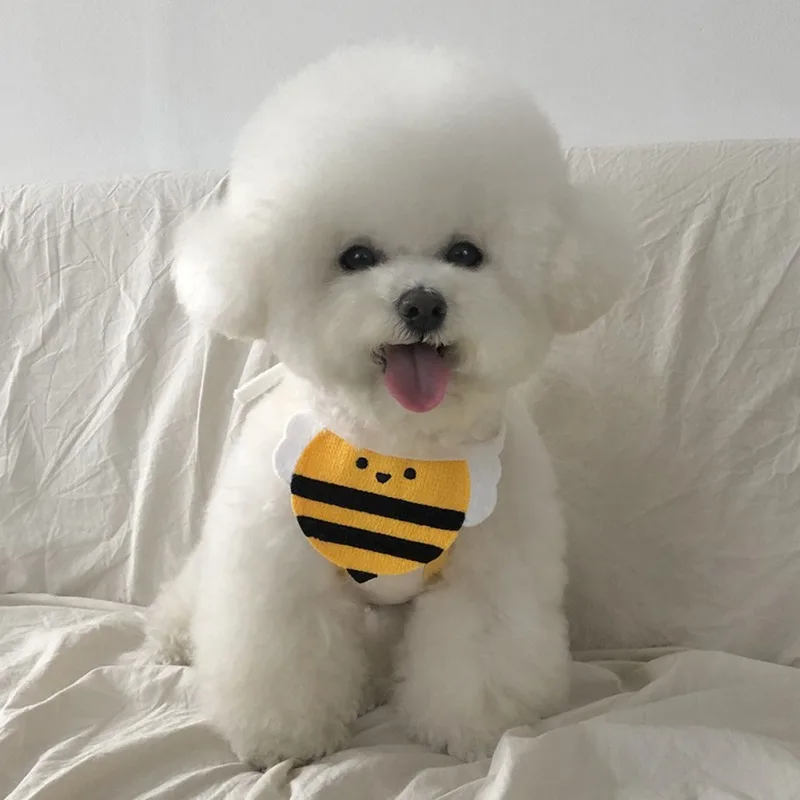 Un pequeño perro blanco con un pelaje esponjoso, sentado sobre una superficie blanca que parece ser un sofá o una cama. El perro tiene una linda expresión con la lengua ligeramente afuera y lleva un collar con un diseño que se asemeja a una abeja.