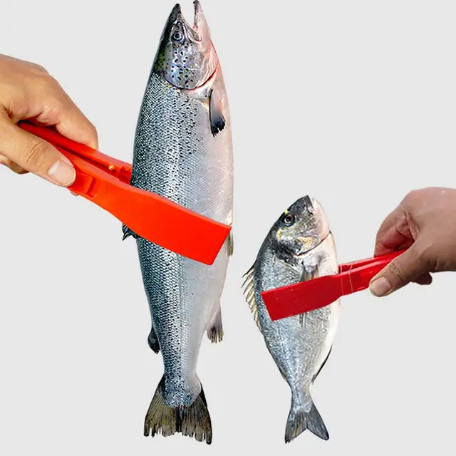 Alicates De Pesca De Plástico Pinza Controlador De Mano Agarre Del Cuerpo  De Pescado Abrazadera Agarrador Herramienta De Aparejos Clip De Pesca  Yq01165 De 1,91 €