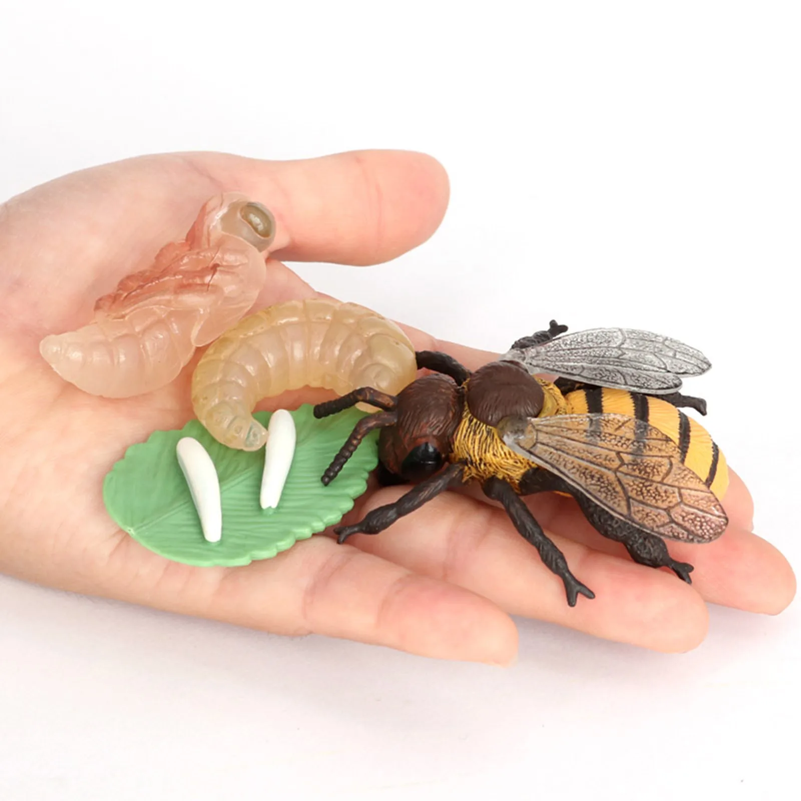 Plastic Realistic Animals Life Cycle Model Figures Swan Cicada Salmon Bee Toy 