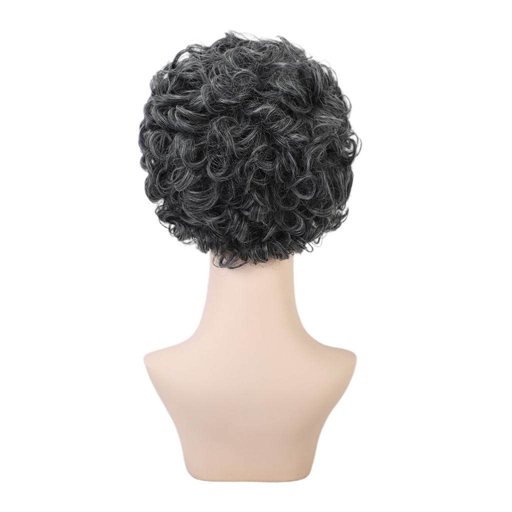 African Kinky Curly Heat Resistant Fashion Stylish Punk Cosplay Party Wig