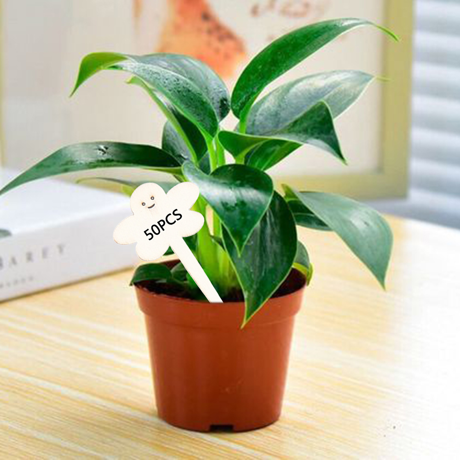 50Pcs Plant Labels Flowers Succulent T-Shaped Wooden Markers Name Tags Sign