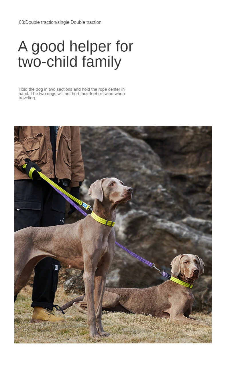 防爆双頭犬の首輪ゴールデンレトリバーラブラドール柴犬 中大型犬リードアクセサリー犬用品 Aliexpress Home Garden