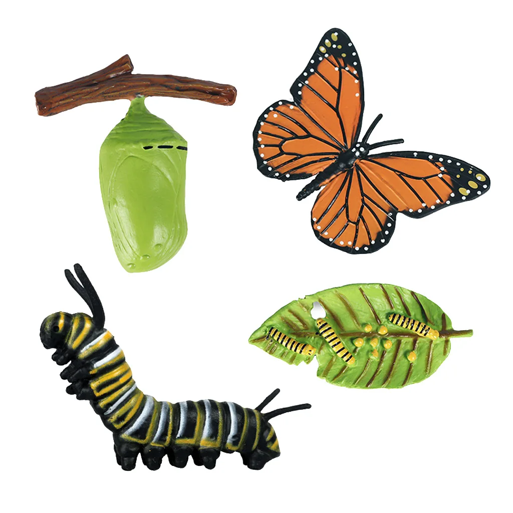 Nature Butterfly Life Cycle Stages Insect Growth Figures Playset Pre-school