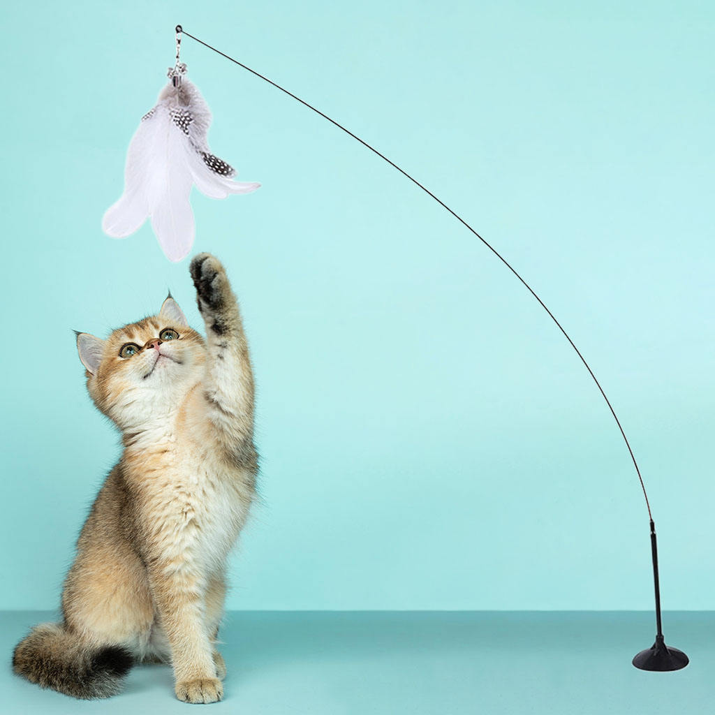 Cat Teaser Toys Heavy Duty Attachment Interactive Adsorbable for Catch