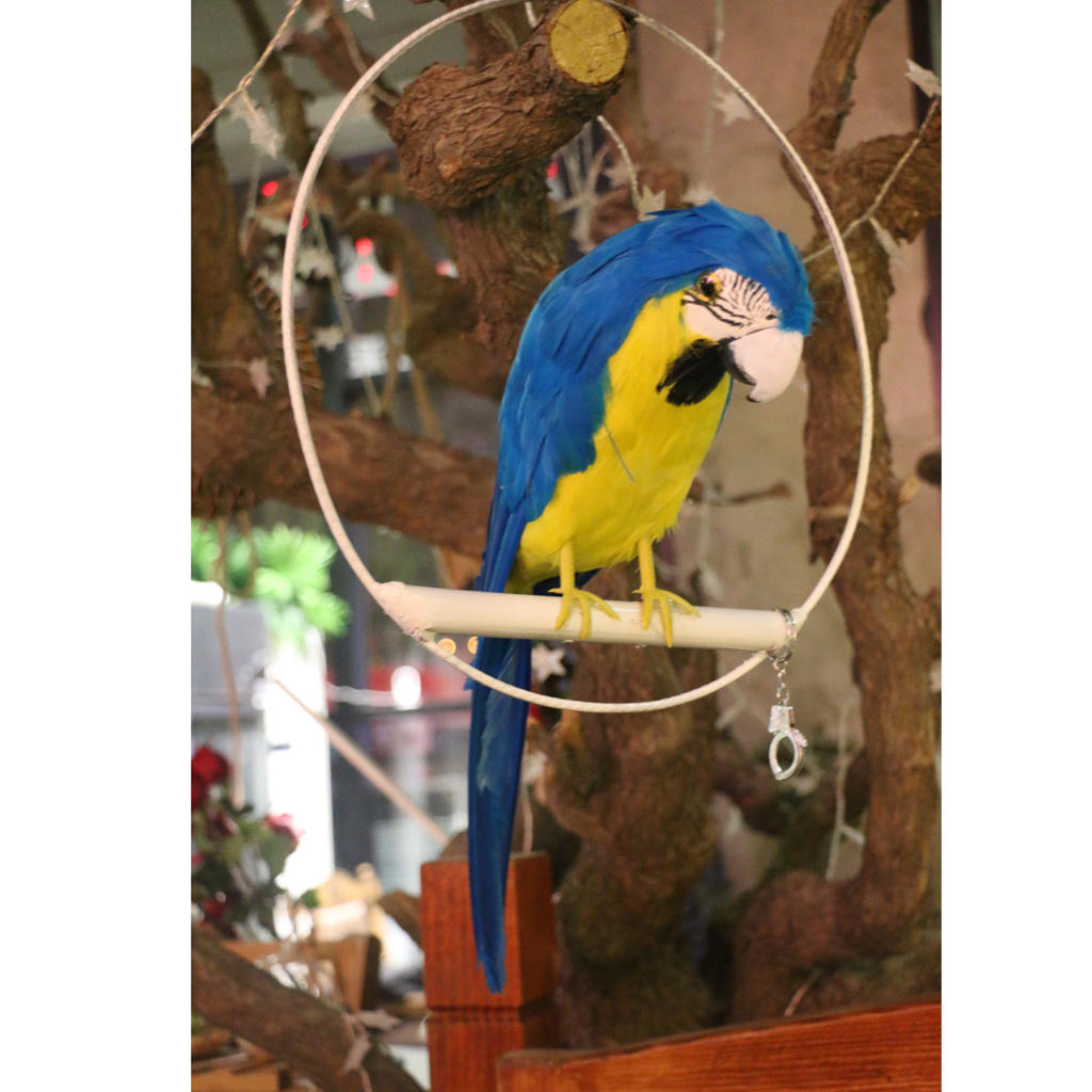 1pc Decorative Artificial Bird Feathered Parrot Birds Home Garden Blue